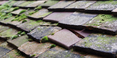 Ardleigh roof repair costs